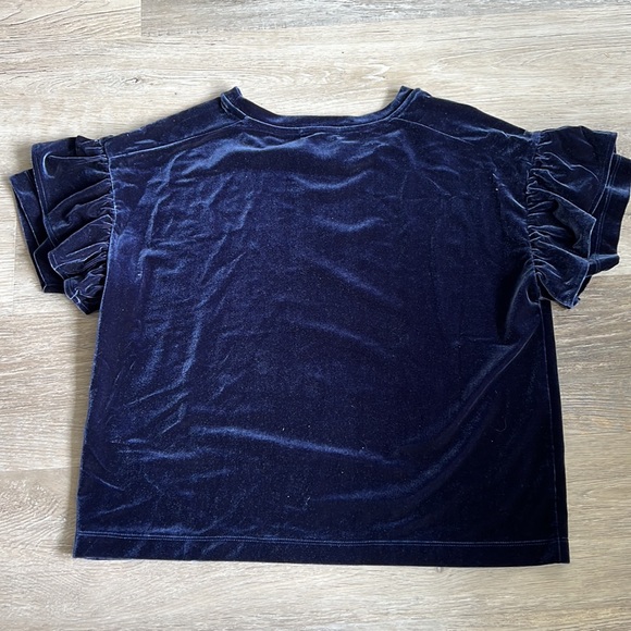 Madewell velvet ruffle sleeve top - Picture 3 of 7